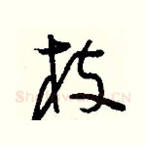 枝