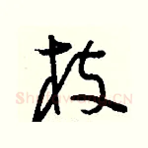 枝