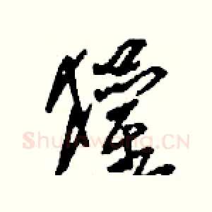 獾