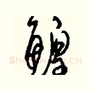 鰉