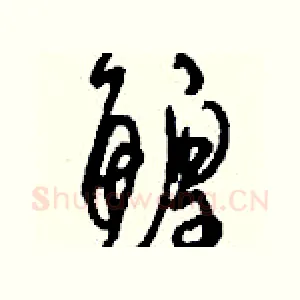 鰉
