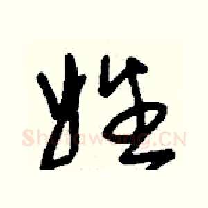 姓