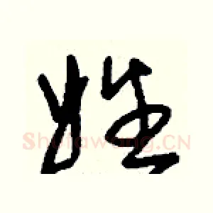姓