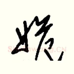 姽