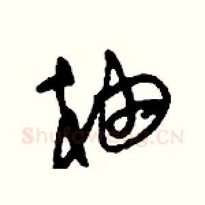 柚