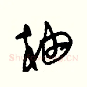柚