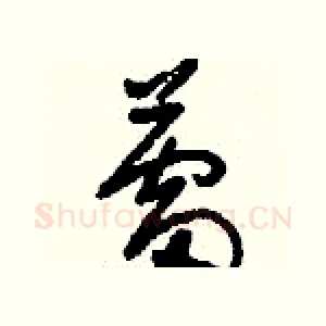 蕾