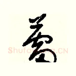 蕾