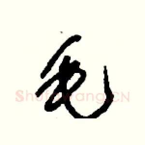 毛