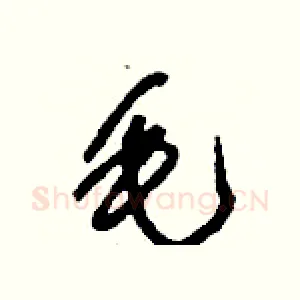 毛