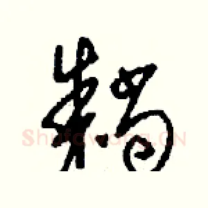 耥