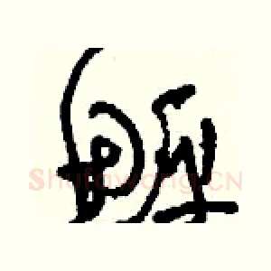 鮃