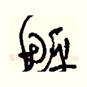 鮃