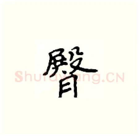 臀硬笔楷书写法,摘自侯登峰硬笔书法字帖