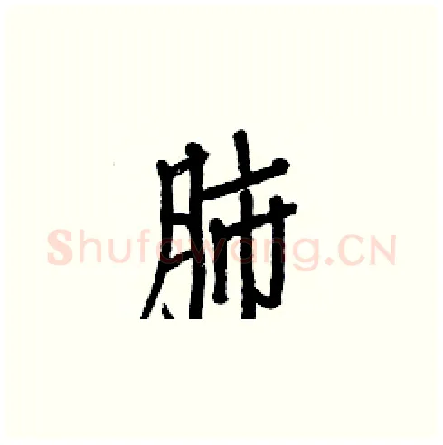 肺硬笔楷书写法,摘自白克俭硬笔书法字帖