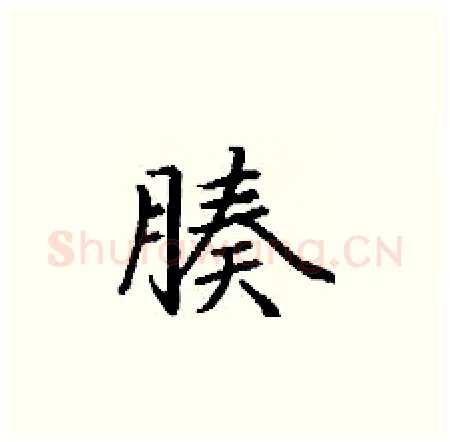 腠硬笔楷书写法,摘自丁谦硬笔书法字帖