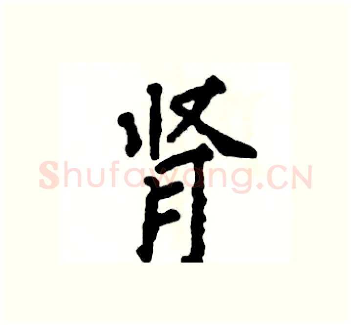 肾硬笔楷书写法,摘自张恒成硬笔书法字帖