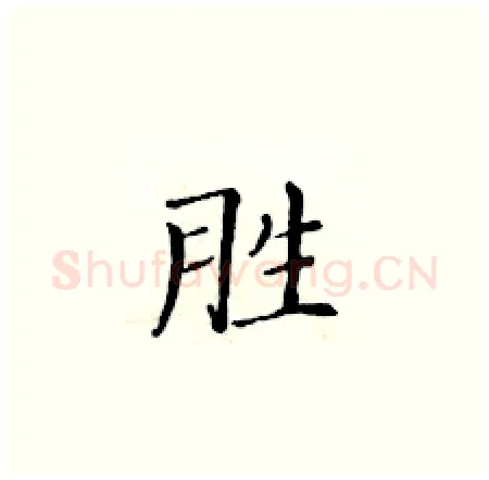 胜硬笔楷书写法,摘自黄华生硬笔书法字帖