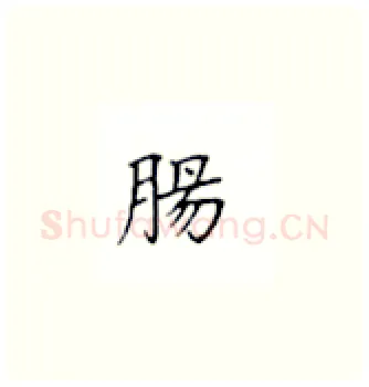 肠硬笔楷书写法,摘自丁永康硬笔书法字帖