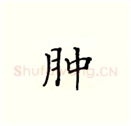 肿硬笔楷书写法,摘自黄华生硬笔书法字帖