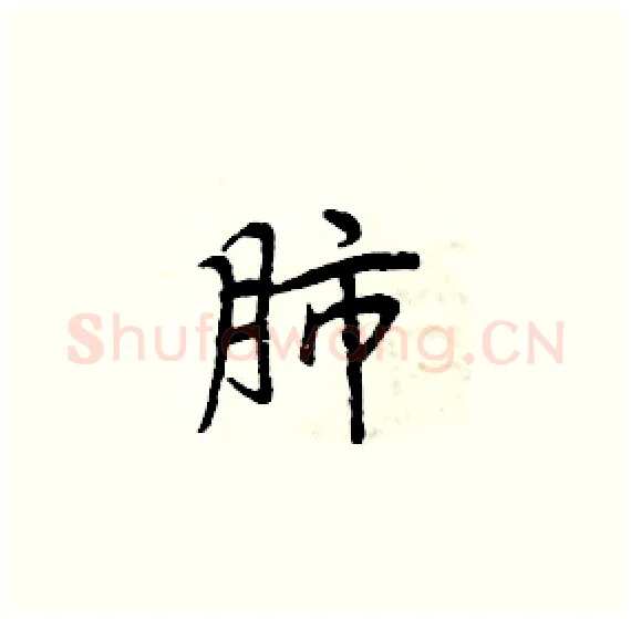 肺硬笔楷书写法,摘自周炳元硬笔书法字帖