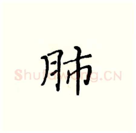 肺硬笔楷书写法,摘自黄华生硬笔书法字帖