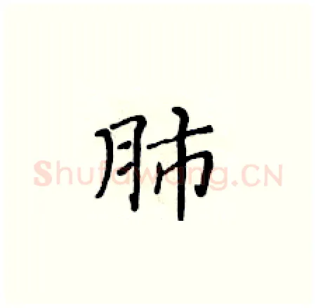 肺硬笔楷书写法,摘自黄华生硬笔书法字帖