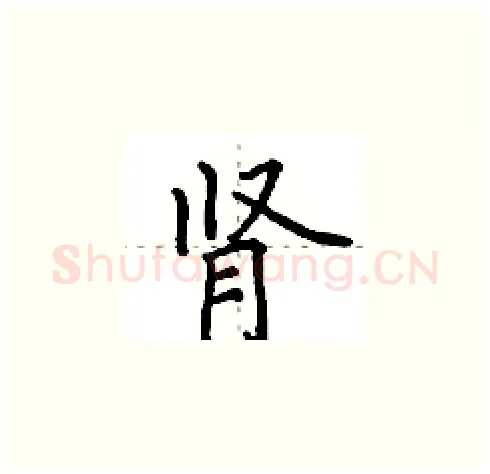 肾硬笔楷书写法,摘自田英章硬笔书法字帖