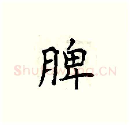 脾硬笔楷书写法,摘自曾庆福硬笔书法字帖