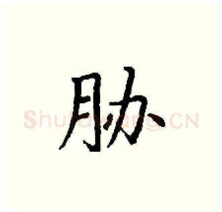 胁硬笔楷书写法,摘自丁谦硬笔书法字帖