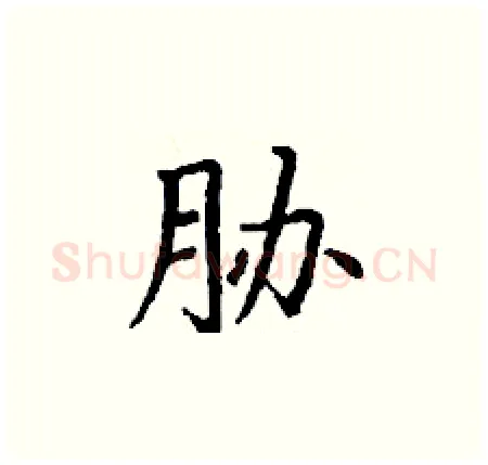 胁硬笔楷书写法,摘自丁谦硬笔书法字帖