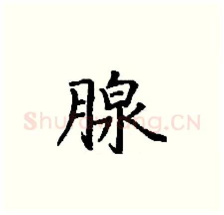 腺硬笔楷书写法,摘自丁谦硬笔书法字帖