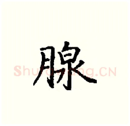 腺硬笔楷书写法,摘自丁谦硬笔书法字帖