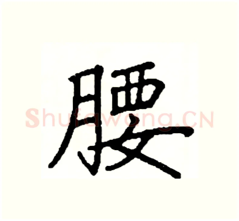 腰硬笔楷书写法,摘自阎锐敏硬笔书法字帖