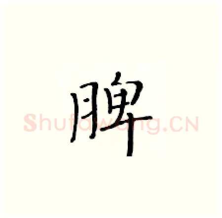 脾硬笔楷书写法,摘自黄华生硬笔书法字帖