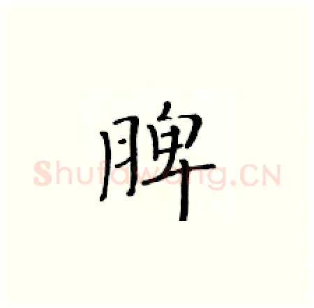 脾硬笔楷书写法,摘自黄华生硬笔书法字帖