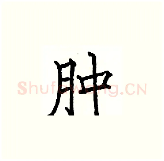 肿硬笔楷书写法,摘自骆恒光硬笔书法字帖