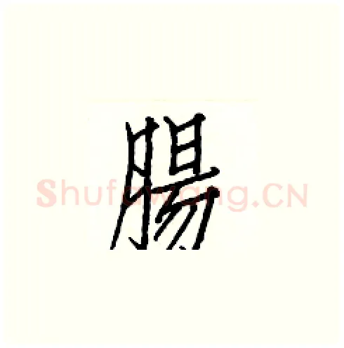 腸硬笔楷书写法,摘自白克俭硬笔书法字帖