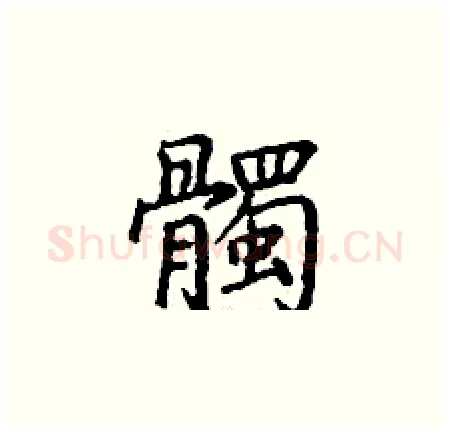 髑硬笔楷书写法,摘自丁谦硬笔书法字帖