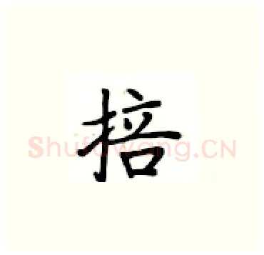 掊硬笔楷书写法,摘自卢中南硬笔书法字帖
