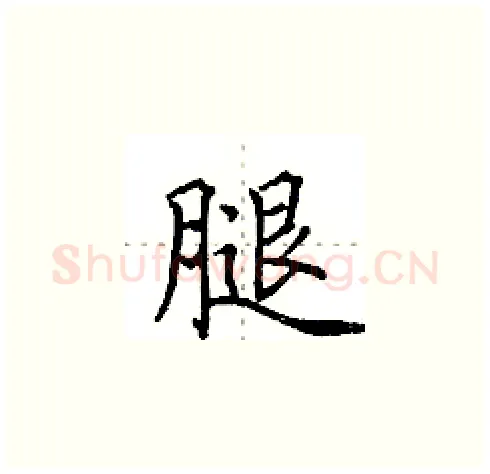 腿硬笔楷书写法,摘自田英章硬笔书法字帖