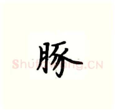 豚硬笔楷书写法,摘自卢中南硬笔书法字帖