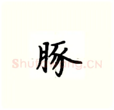 豚硬笔楷书写法,摘自卢中南硬笔书法字帖