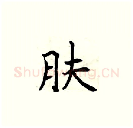 肤硬笔楷书写法,摘自曾庆福硬笔书法字帖