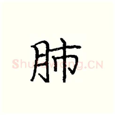 肺硬笔楷书写法,摘自庞中华硬笔书法字帖