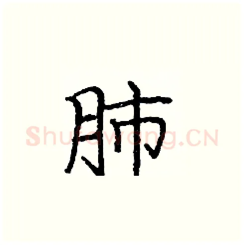 肺硬笔楷书写法,摘自庞中华硬笔书法字帖