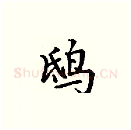 鸱硬笔楷书写法,摘自丁谦硬笔书法字帖
