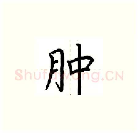 肿硬笔楷书写法,摘自荆霄鹏硬笔书法字帖