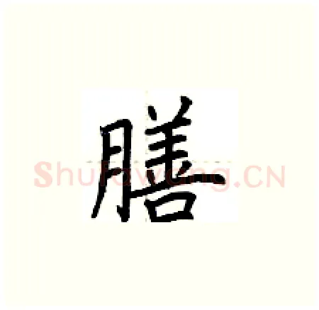 膳硬笔楷书写法,摘自荆霄鹏硬笔书法字帖