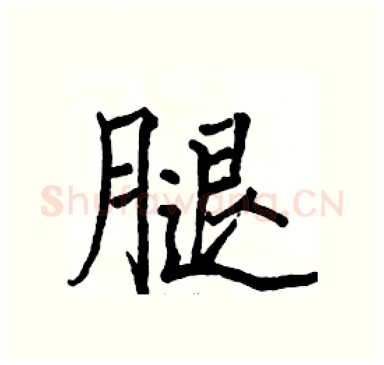 腿硬笔楷书写法,摘自骆恒光硬笔书法字帖
